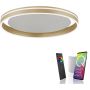 Paul Neuhaus Q-VITO 8416-60 Lampă de tavan 1x44W/LED 2700-5000k 4570lm ip20