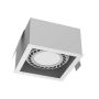 Antigo Cage 3273 Lumină îngropată deasupra plafonului 1x15W/Gu10 IP20