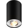 Zuma Line RONDOO 89201-N Lumină montată pe suprafață 1x50W/GU10 IP20