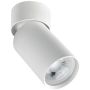Zambelis CEILING SPOT S123 Lumină montată pe suprafață 1x40w/GU10 IP20
