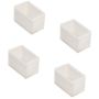 Zambelis NEON ECLS08-09 Capac