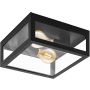 Eglo AMEZOLA 99122 Lustră de tavan 2x40W/E27 IP44