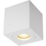 Zuma Line QUARDIP ACGU10-160 Lumină montată pe suprafață 1x50W/GU10 IP44