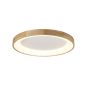 AZzardo SILVAM AZ2698 Lustră de tavan 1x50W/LED 3250LM