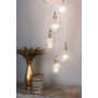Dar Lighting DITA DIT2342 Lampă cu pendul 10x20W/G4