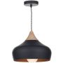 Dar Lighting GAUCHO GAU0122 Lampă cu pendul 1x60W/E27