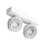AZzardo JERRY AZ1371 Spot 2x50/40W/ES111/GU10 IP20