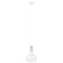 Italux OPHELIA MDM-3028/1 W+COP Lampă cu pendul 1x60W/E27