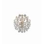 Markslojd ROSENDAL 102334 Aplique de perete 1x40W/E14