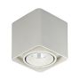 Italux BONNIE SLC78004/10W WH Lumină montată pe suprafață 1x10W/LED 840LM IP20