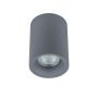 Italux FLYNN TM09080-GR Lumină montată pe suprafață 1x50W/GU10 IP20