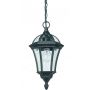 Endon DRAYTON YG-3503 Lampă cu pendul 1x60W/E27 IP44
