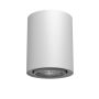 Antigo Point 1259 Lumină montată pe suprafață 1x10W/GU10 IP20