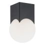 Argon AUSTIN 4713 Lustră de tavan 1x7W/E14 IP20