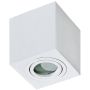 AZzardo BRANT AZ2822 Lumină montată pe suprafață 1x50W/GU10 IP44