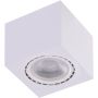 AZzardo ECO AZ4318 Lumină montată pe suprafață 1x16W/GU10/ES111 IP20