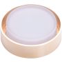 AZzardo KASTORIA AZ4390 Lumină îngropată deasupra plafonului 1x7W/LED 3000K IP44