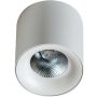 AZzardo MANE AZ4152 Lumină montată pe suprafață 1x20W/LED 3000K IP20