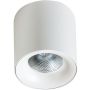 AZzardo MANE AZ4155 Lumină montată pe suprafață 1x30W/LED 3000K IP20