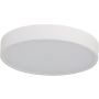 Azzardo PANDINO AZ6589 Lustră de tavan 1x24w/led 2800k/4000k/6000k ip44