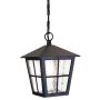 Elstead Lighting CANTERBURY BL48M-BLACK Lampă cu pendul 1x60W/E27 IP43