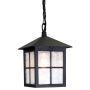 Elstead Lighting WINCHESTER BL18B-BLACK Lampă cu pendul 1x60W/E27 IP43