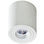 AZzardo BRANT AZ2818 Lumină montată pe suprafață 1x50W/GU10 IP20