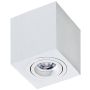 AZzardo BRANT AZ2824 Lumină montată pe suprafață 1x50W/GU10 IP20