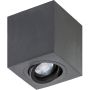 AZzardo BRANT AZ2825 Lumină montată pe suprafață 1x50W/GU10 IP20