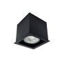 Antigo Cage 1078 Lumină montată pe suprafață 1x10W/GU10 IP20