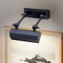 Elstead Lighting CHAWTON CHAWTON-PLS-BLK Lampă pentru tablou 1x40W/E14