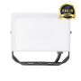 Eko Light FLOODLIGHT EKN9015 Halogen 1x30W/LED 5000K 3000lm IP65