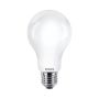 Eko-Light BULB EKZPH555 Bec 1x13W/E27 6500K 2000LM