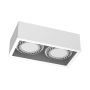 Antigo Cage 1274 Lumină montată pe suprafață 2x15W/Gu10 IP20