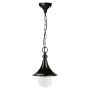 Novolux TROM 332G-G05X1A-02 Lampă cu pendul 1x42W/E27 IP43