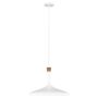 Feiss DARWIN FE-DARWIN-P Lampă cu pendul 1x60W/E27