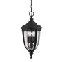 Feiss ENGLISH BRIDLE FE-EB8-M-BLK Lampă cu pendul 3x60W/E14 IP23