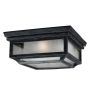 Feiss SHEPHERD FE-SHEPHERD-F Lustră de tavan 2x75W/E27 IP44