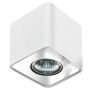 AZzardo NINO AZ0735 Lumină montată pe suprafață 1x50W/GU10