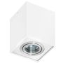 AZzardo ELOY AZ0929 Lumină montată pe suprafață 1x50W/GU10