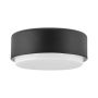 Hinkley Lighting Cedric HK-CEDRIC-F-S-BK Lustră de tavan 2x40W/E27 IP20