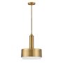 Hinkley Lighting Cedric HK-CEDRIC-P-M-BR Lampă cu pendul 2x60W/E27 IP20