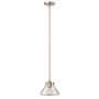 Hinkley Lighting CONGRESS HK-CONGRESS-P-A-BC Lampă cu pendul 1x60W/E27