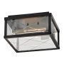 Hinkley Monte HK-MONTE-F-BK Lampă de tavan 2x40W/E27 ip44