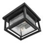 Hinkley Republic HK-REPUBLIC-F-BK Lampă de tavan 2x40W/E27 ip44