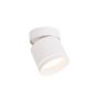 Light Prestige Kendal LP-6331/1SM R1 WH movable Lumină montată pe suprafață 1x7W/GX53 IP20