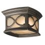 Kichler FRANCEASI KL-FRANCEASI-F Lustră de tavan 2x60W/E27 IP44