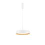 Luces Exclusivas CARACOLLO LE44813 Lampă cu pendul 1x40W/led 3000k IP20 3111lm
