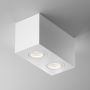 Maytoni ATOM C017CL-02W Lumină montată pe suprafață 2x50W/GU10 IP20