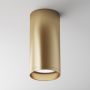 Maytoni FOCUS C010CL-01MG Lumină montată pe suprafață 1x50W/GU10 IP20